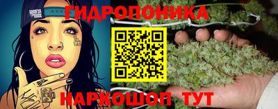 apvp Гусиноозёрск