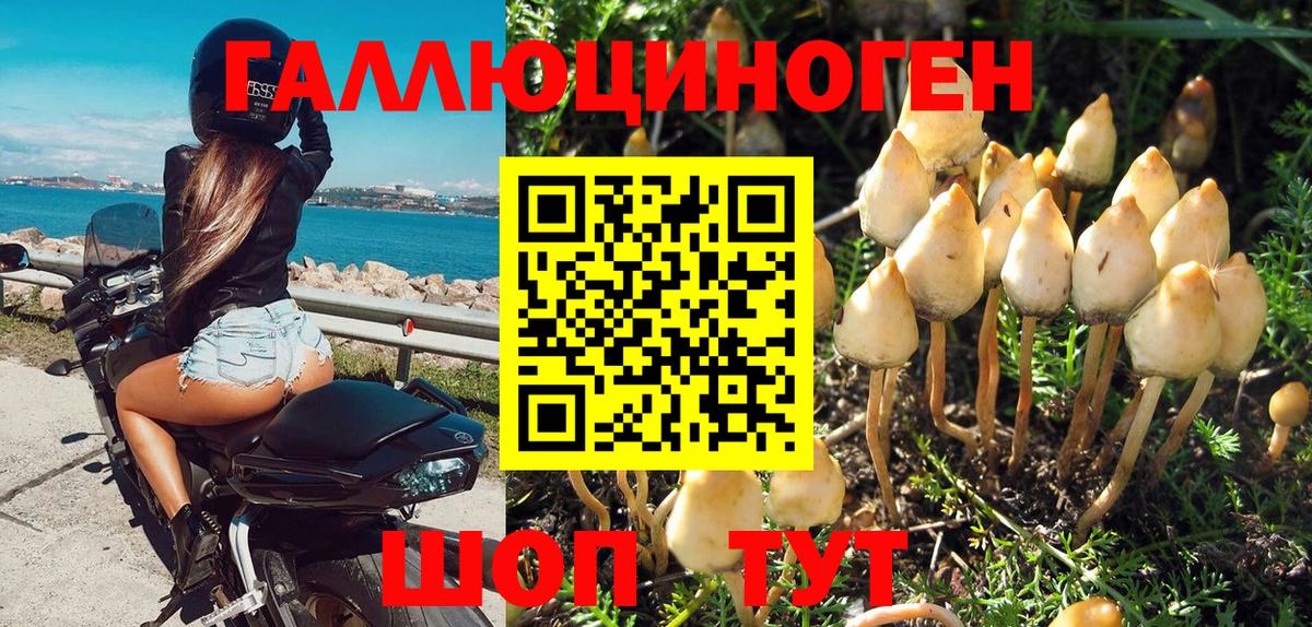 Галлюциногенные грибы Psilocybine cubensis  Вход с VPN  Галлюциногенные грибы ЛСД  Нижнеудинск 
